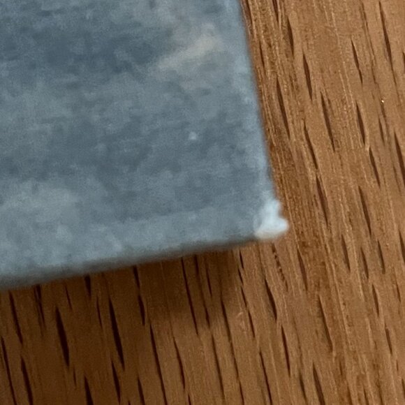 Acclaimed Queer Graphic Novel: I Never Promised You a Rose Garden - Picture 7 of 7